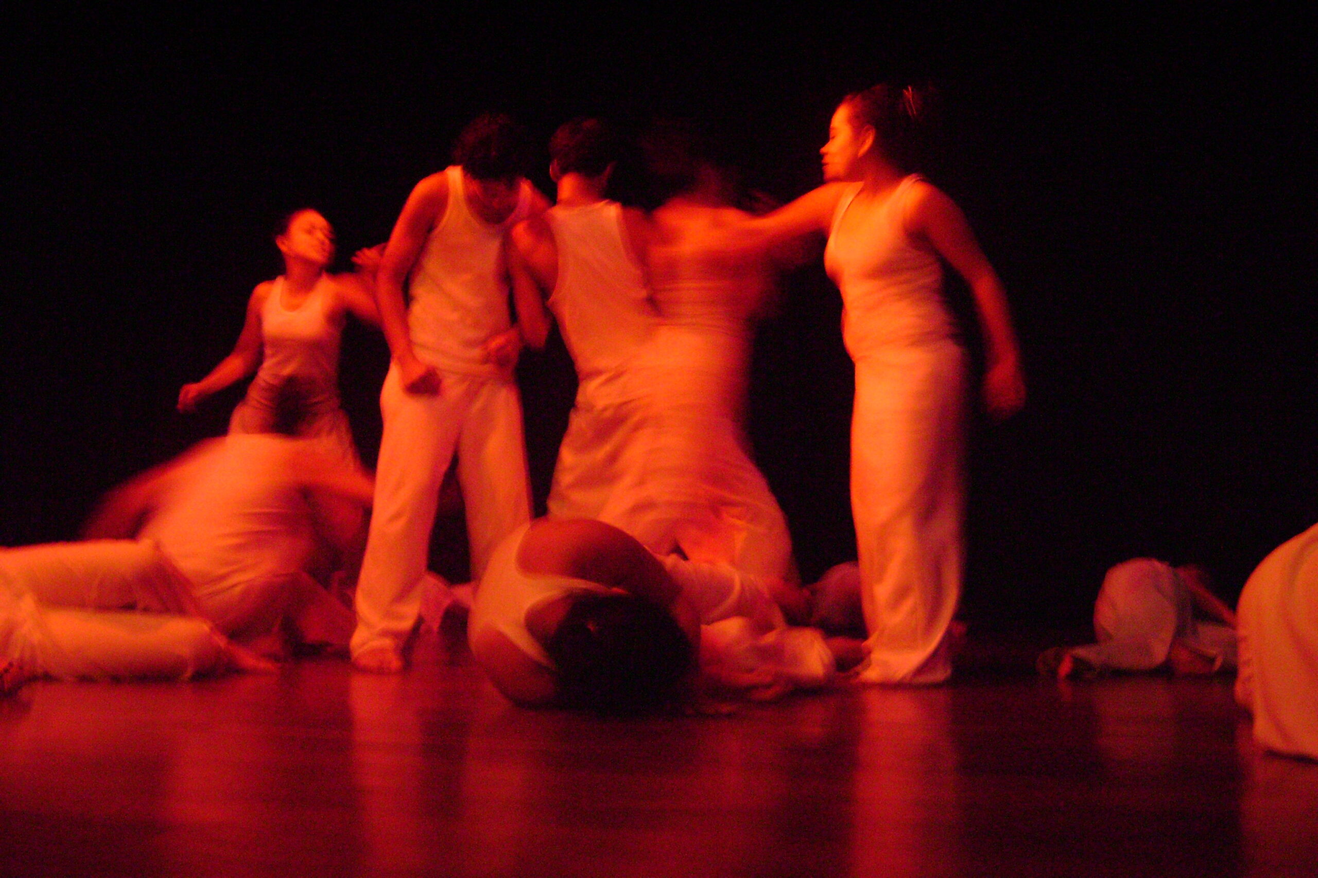 Copia de DSC04248
